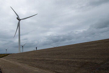 wind turbines farm