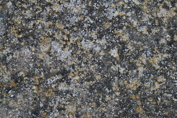 Texture, muri, legno, corteccia, metalli