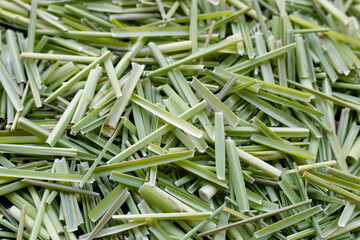 Close up organic lemongrass. leaves cut