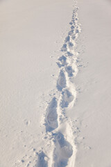 human footprints in the fresh snow