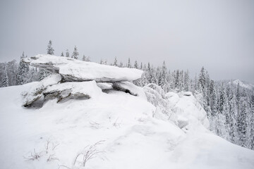 snow covered trees