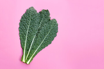 Fresh organic green kale leaves on pink background.