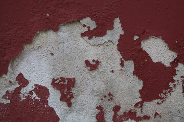 Texture, muro, foglie, corteccia, metallo