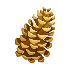 Brown Pine Cone with Spirally Arranged Scales Vector Illustration