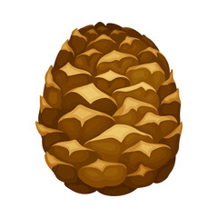 Brown Pine Cone with Spirally Arranged Scales Vector Illustration