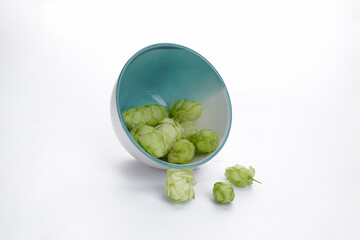 Hops in a bowl on a white background