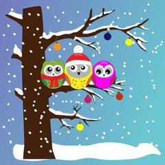 Christmas owls