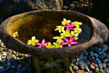Stone jug with beautiful flowers. Composition of yellow and  purple flowers on the background of a rough stone jug in a Thai garden.