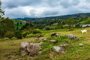 Fototapeta na wymiar National park La Quinta in Costa Rica