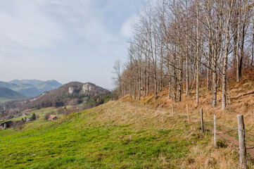 Belchen, B&ouml;lchen, Chilchzimmersattel, Ankenballen, Steinenberg, Geissflue, Wanderweg, Felsgipfel, L&auml;ufelfingen, Jura, Baselland, Herbst, Schweiz