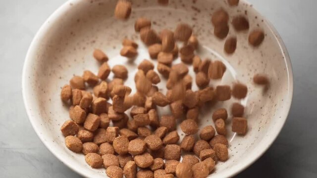 Feed for animals poured into a bowl on a gray table. Slow-motion, close up