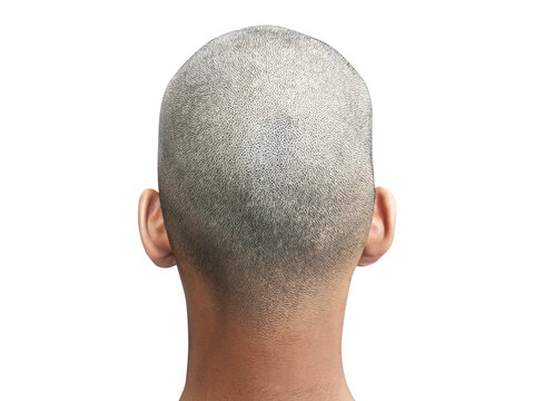 Bald man back view, on white background