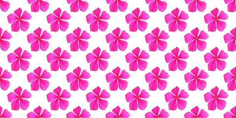 beautiful background with flowers seamless pattern with pink flower