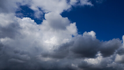 Ciel pommelé de cumulus de beau temps, en été