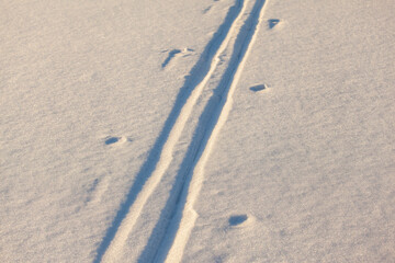 Fototapeta na wymiar Winter background with snow texture closeup. Ski tracks in the snow