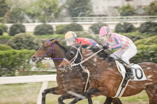 competitive horse racing in heavy sandstorm.