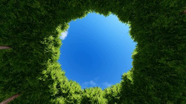 Clouds running over circle tree