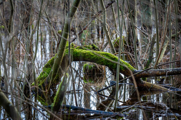 Water in different colors and coastal landscapes.