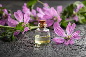 Obraz na płótnie Canvas A bottle of essential oil with fresh blooming mallow or malva sylvestris plant