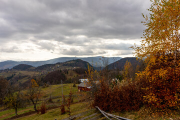 Fototapeta na wymiar nature in mountains in Romania
