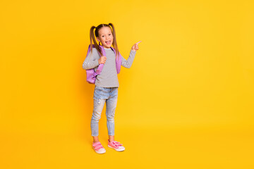 Full size photo of young happy smiling school girl wear backpack pointing finger in copyspace...