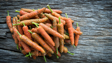 Long pepper on wood background
