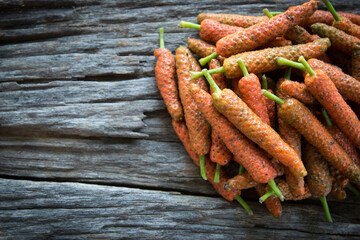 Long pepper on wood background