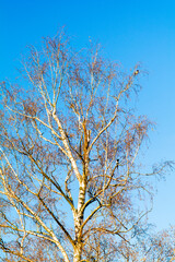 Fototapeta premium Landschaft im Herbst