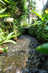 Clean streams flowing fast with a lovely rustic atmosphere