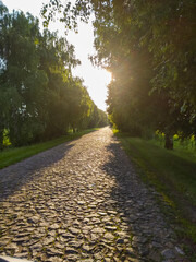 Fototapeta na wymiar Cobblestone road with green trees and sunlight. The roadside is covered with plants. Clear sky. The way forward. Background, screensaver for screens. Summer season. Stone road. Bright sunlight.