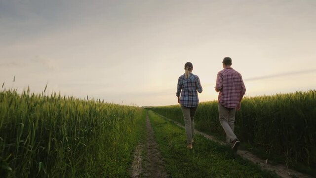 Rear view of Farmers walk along country road along green wheat fields