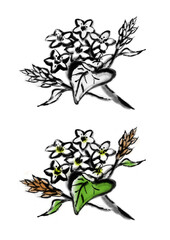 蕎麦の花のイラスト