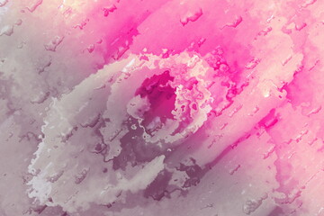 Rosen Muster Pattern Grau Pink