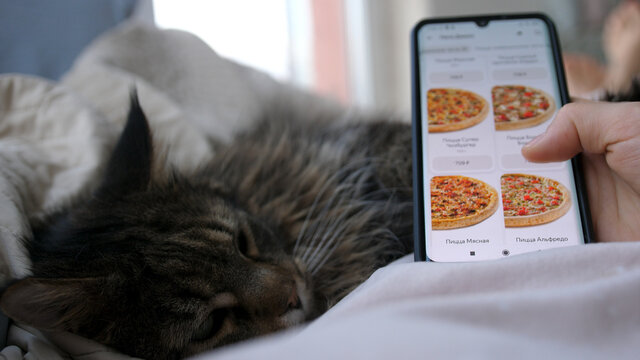 A woman orders pizza using online delivery lying on a sofa with Maine Coon cat in living room. Girl orders food home in online store using a smartphone. Female ordering pizza using food delivery app.