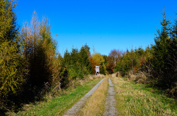 Jagdeinrichtung im Wald