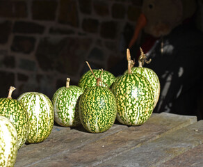 Green gourds on a shed table