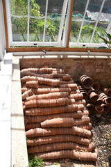 Plants pots in a greenhouse