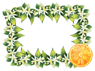 Citrus frame illustration art, orange hand drawn design.