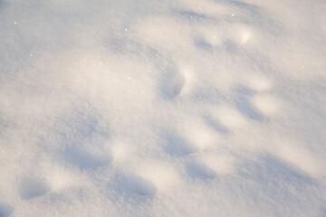 winter background with snow texture closeup