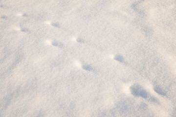 winter background with snow texture closeup