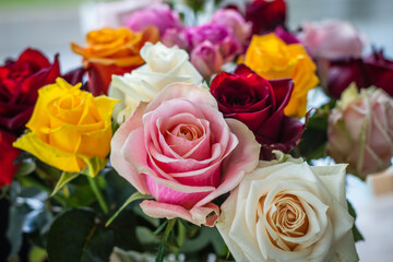 Farbige Rosen - Rosentrauss