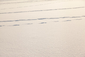 human footprints in deep snow