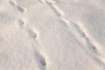 human footprints in deep snow
