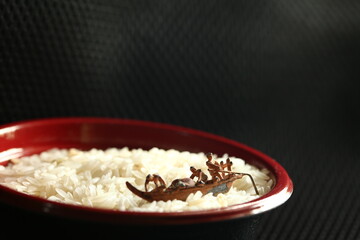 Miniature fishermen in fishing boat figure model put on the rice bowl scene represent argriculture fishery and food concept related idea.