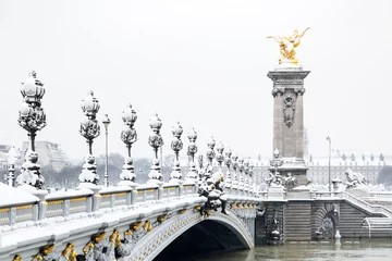 Fotobehang Pont Alexandre III Pont Alexandre III à Paris sous la neige