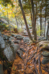 Killbear Provincial Park, a small park with typical Georgian bay landscape: lake Huron, beautiful autumn foliage and rocky outcrop of the Canadian Shield