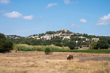 Summer landscape with view on ancient perched  mediterranean village Grimaud with ruins of old castle near Gulf of Saint Tropez, Var, Provence, France
