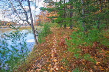 AuSable River, Pine Acres Landing, riverside trail, Huron National Forest, Cooke Dam Pond, Iosco County, Michigan