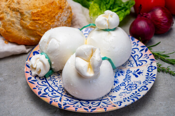 Cheese collection, fresh soft Italian cheese from Puglia, white balls of burrata or burratina cheese made from mozzarella and cream filling