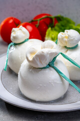 Cheese collection, fresh soft Italian cheese from Puglia, white balls of burrata or burratina cheese made from mozzarella and cream filling